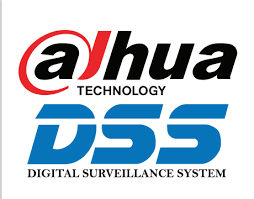 DAHUA DSS